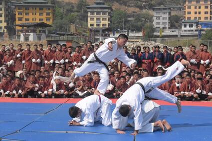 Picture5.jpg