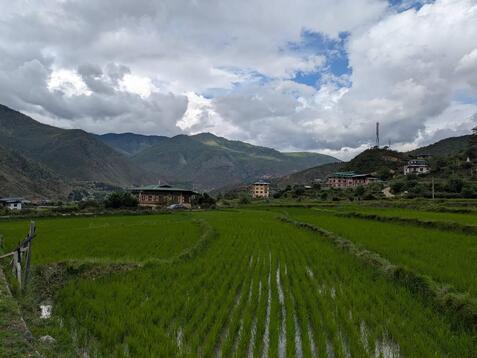 88336_0.jpgのサムネイル画像