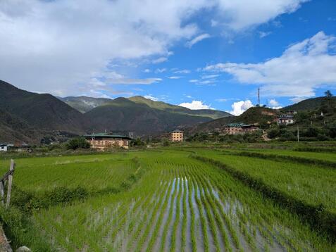 88339_0.jpgのサムネイル画像