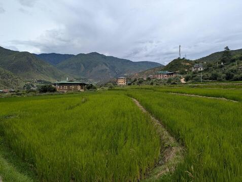 88332_0.jpgのサムネイル画像