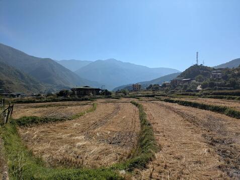 88319_0.jpgのサムネイル画像