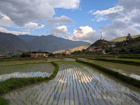 88340_0.jpgのサムネイル画像