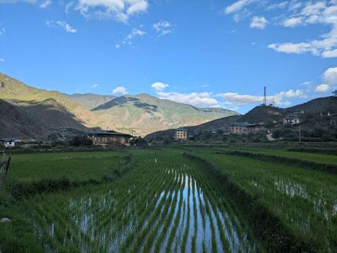 88338_0.jpgのサムネイル画像