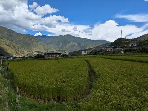 88328_0.jpgのサムネイル画像