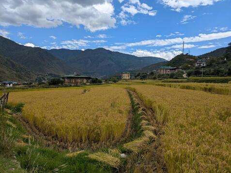 88322_0.jpgのサムネイル画像