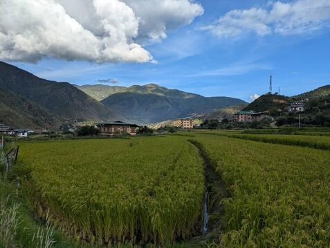 88327_0.jpgのサムネイル画像