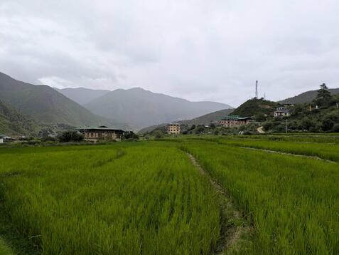 88331_0.jpgのサムネイル画像