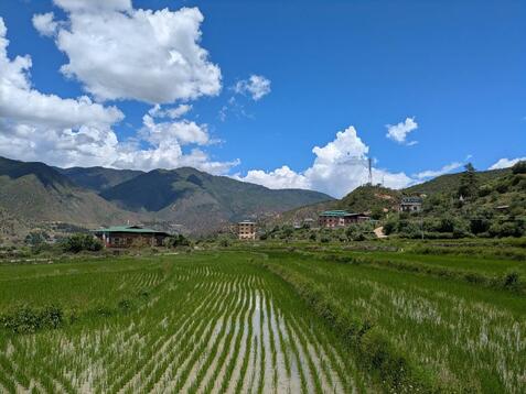 88337_0.jpgのサムネイル画像