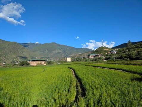 88333_0.jpgのサムネイル画像