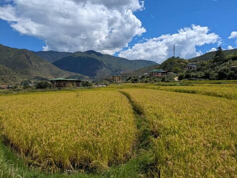 88326_0.jpgのサムネイル画像