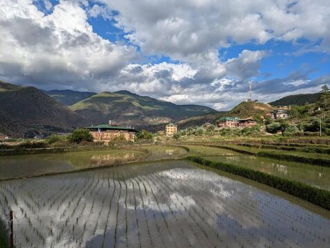 88341_0.jpgのサムネイル画像