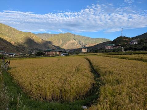 88323_0.jpgのサムネイル画像