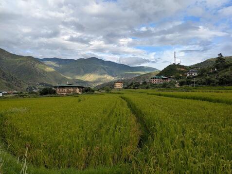 88330_0.jpgのサムネイル画像