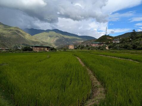 88334_0.jpgのサムネイル画像