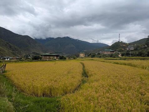 88324_0.jpgのサムネイル画像