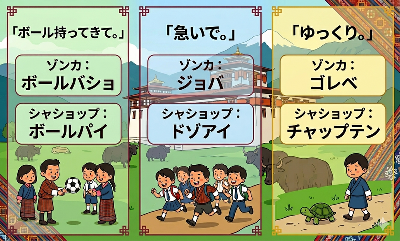 IMG_0294.PNG