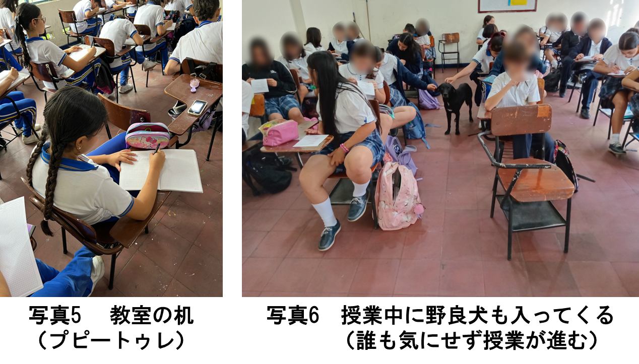 写真5、6.png
