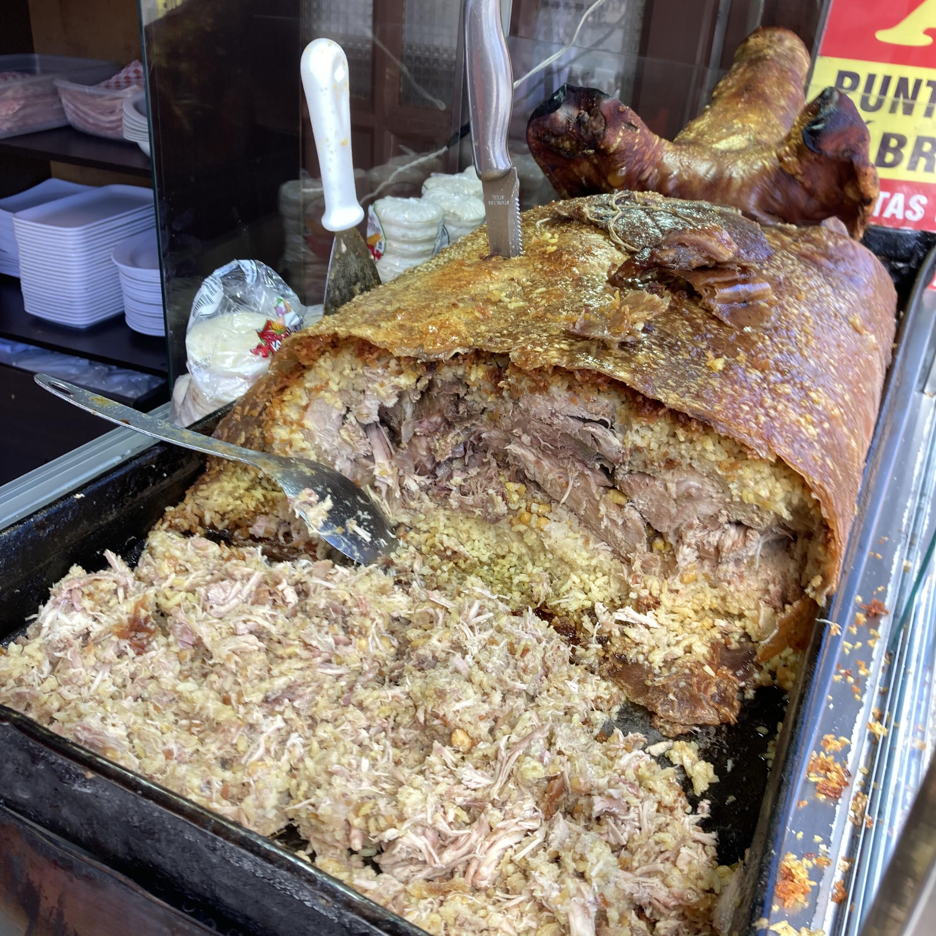 レチョーナ (2).jpeg