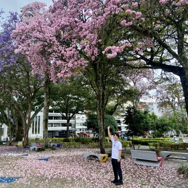 okobo 正方形.jpeg