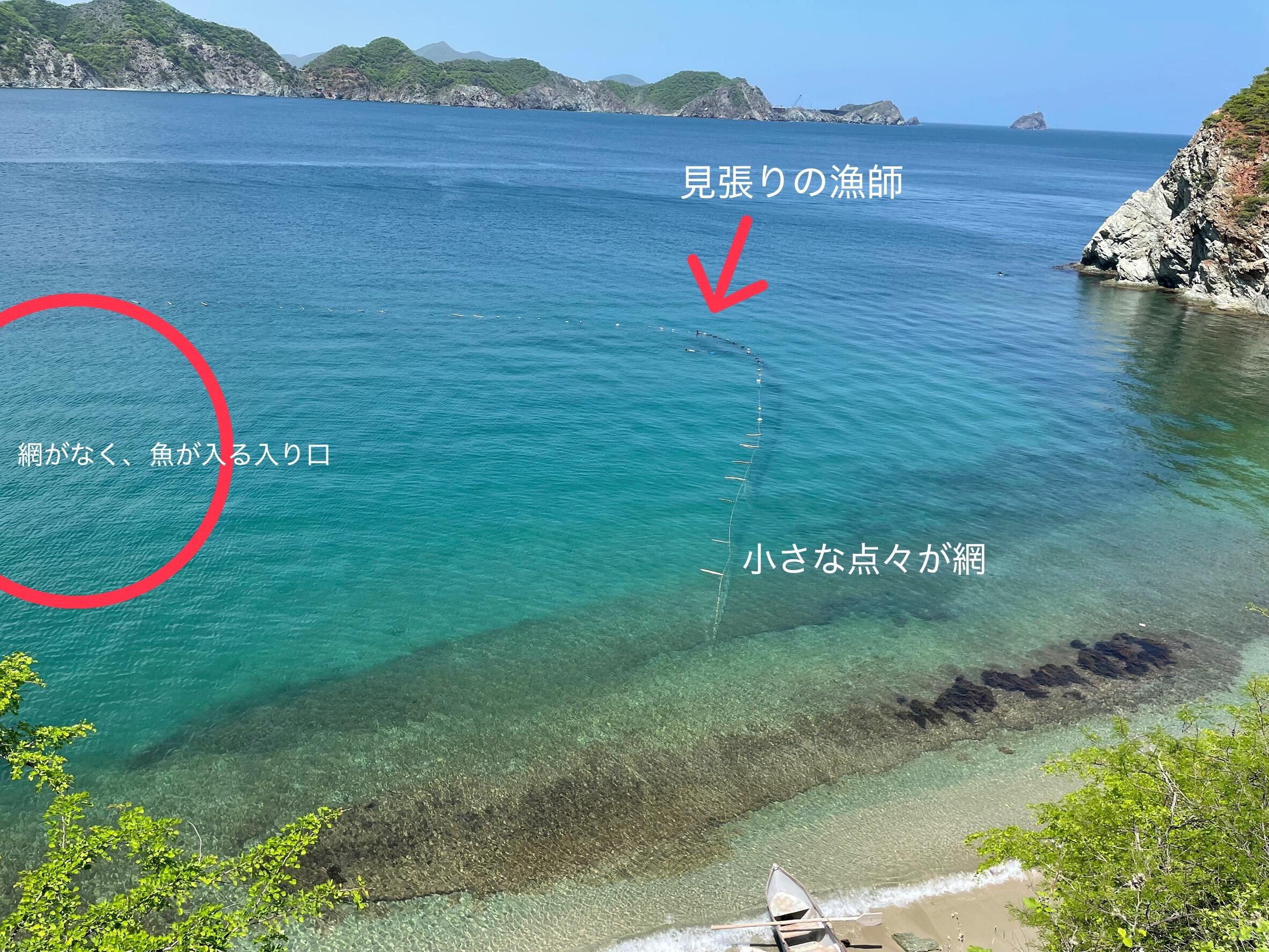 S__32088497.jpg