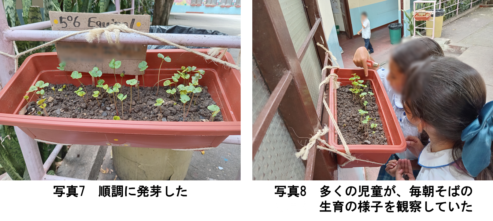 写真7、8.png