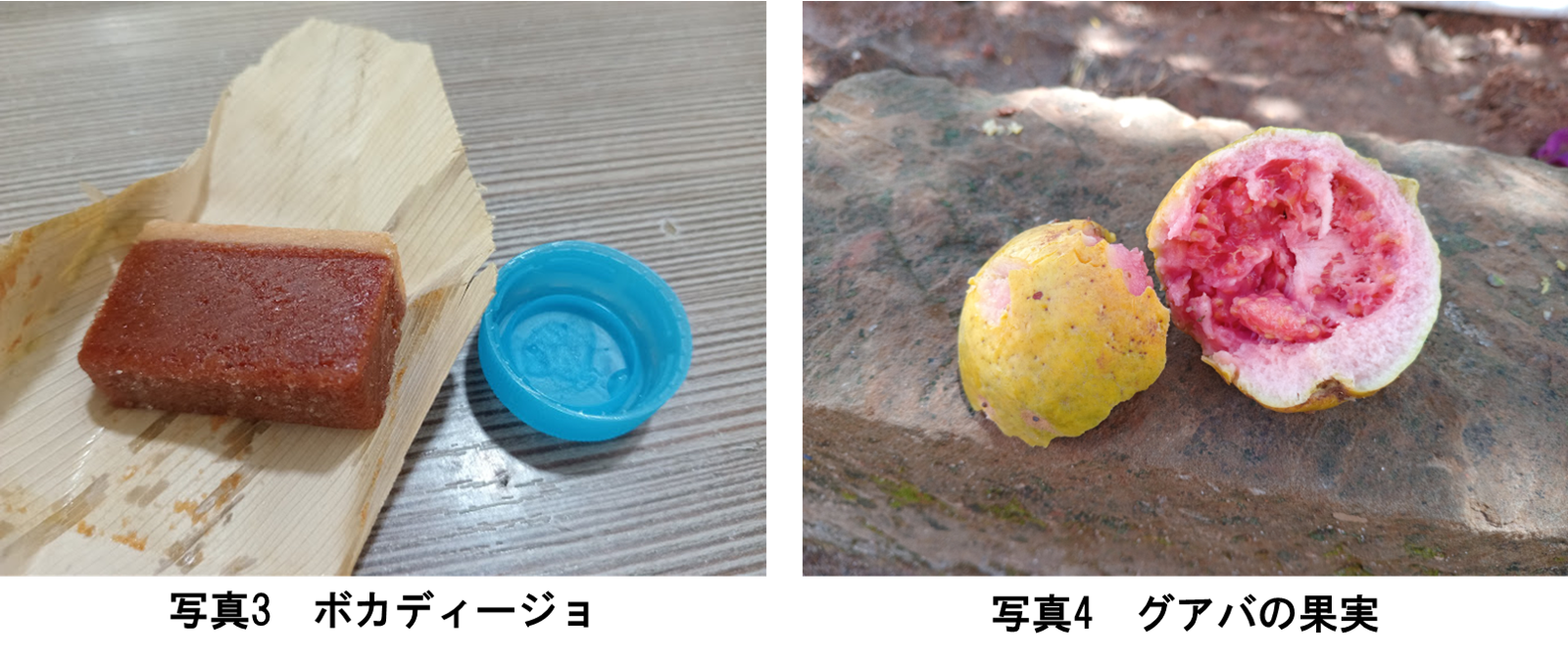 ボカディージョの写真.png