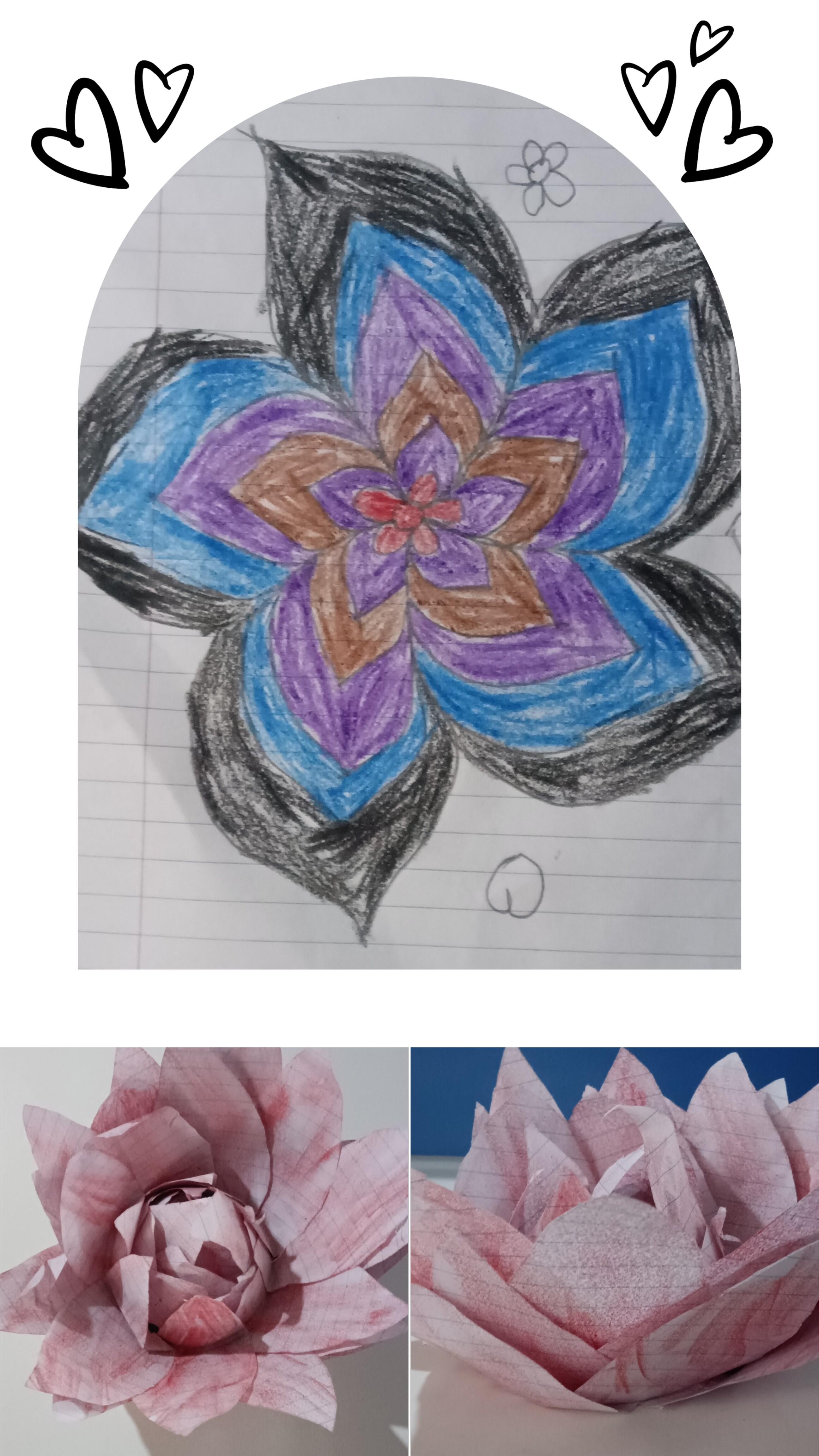 20260517_211750-COLLAGE.jpg