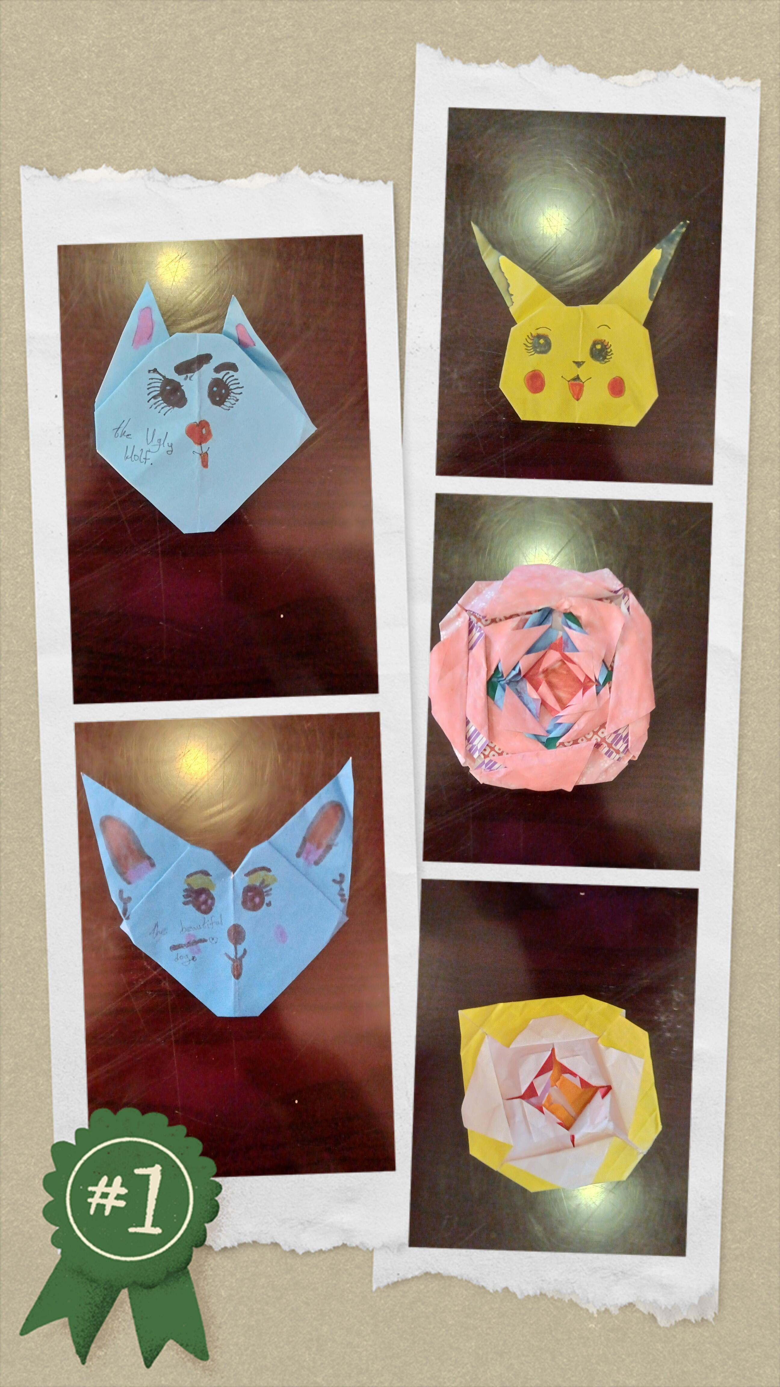 20260517_200609-COLLAGE.jpg