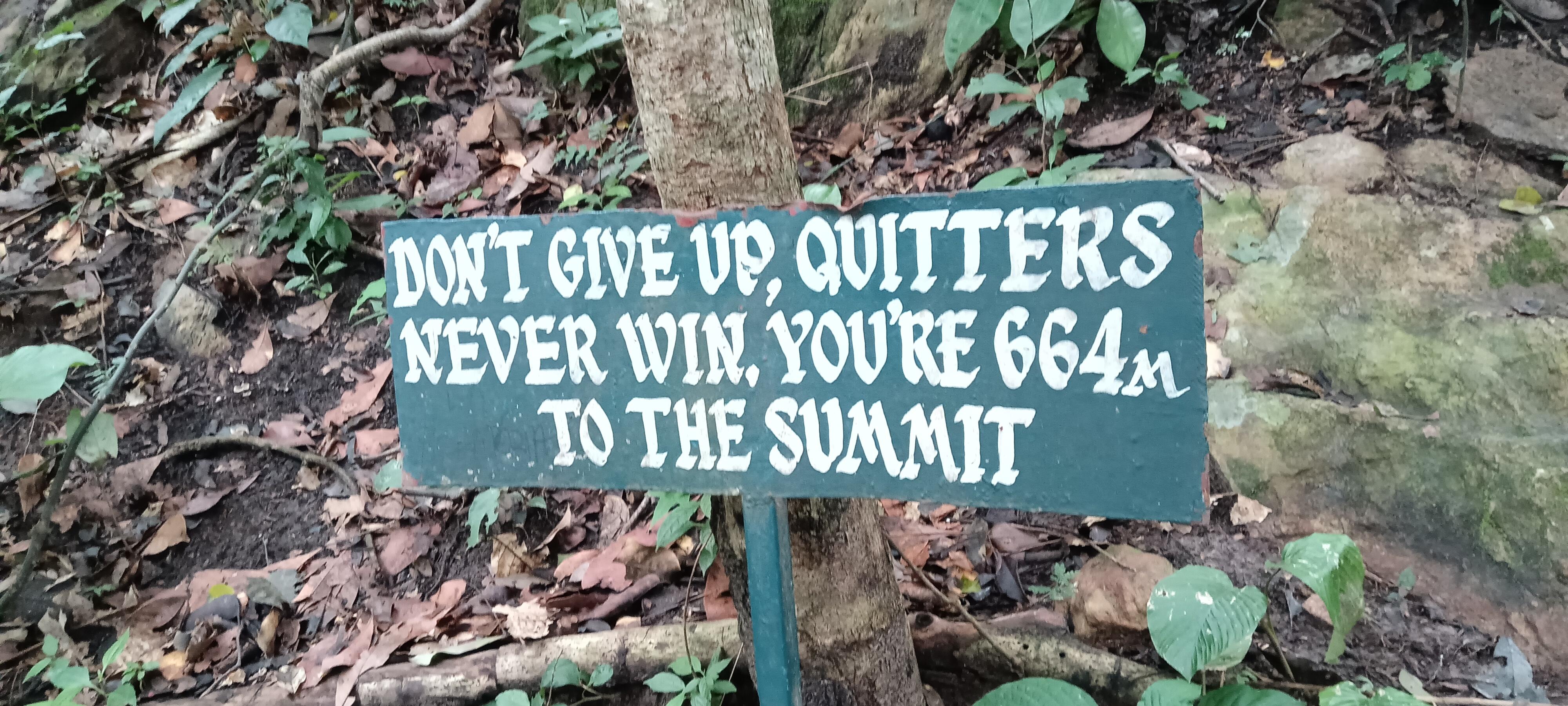 Never Give Up.jpg