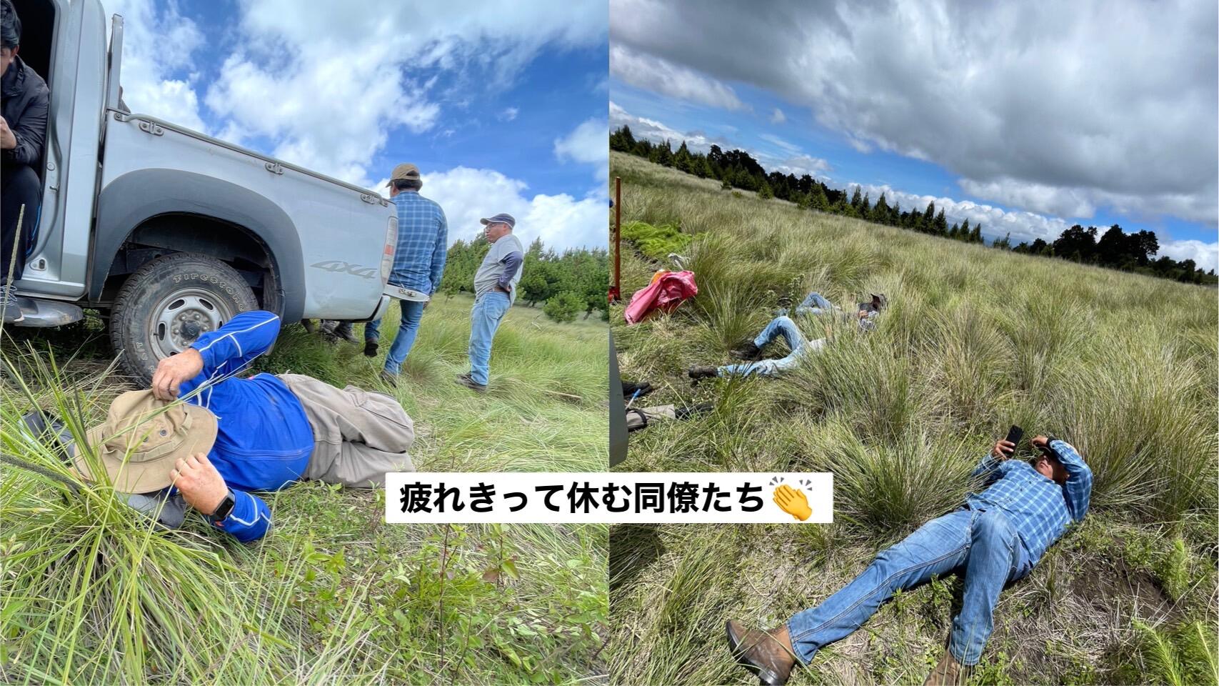 カンテル疲れきって休む同僚たち.jpg