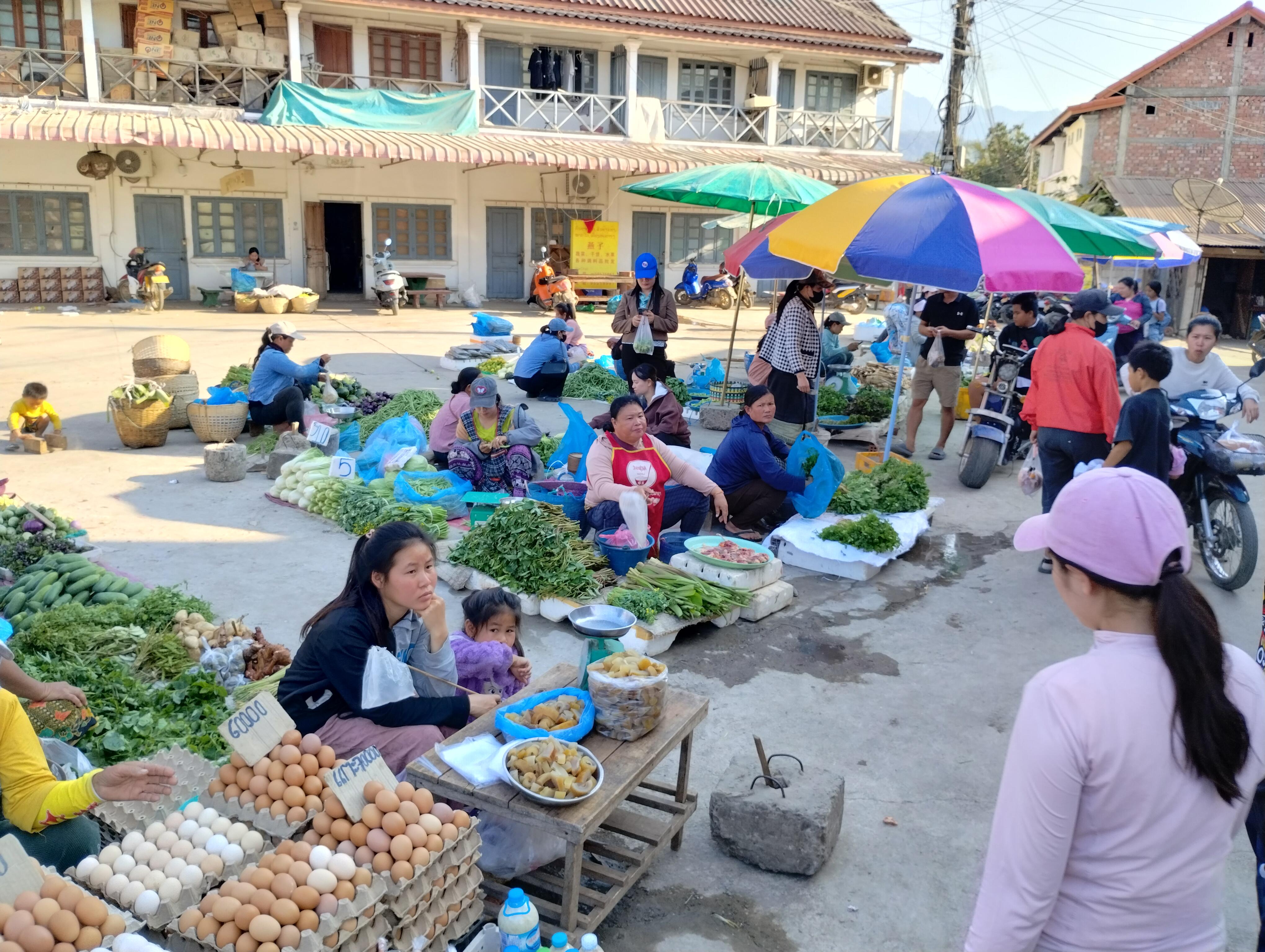 写真③：ルアンパバーンのローカル市場2.jpg