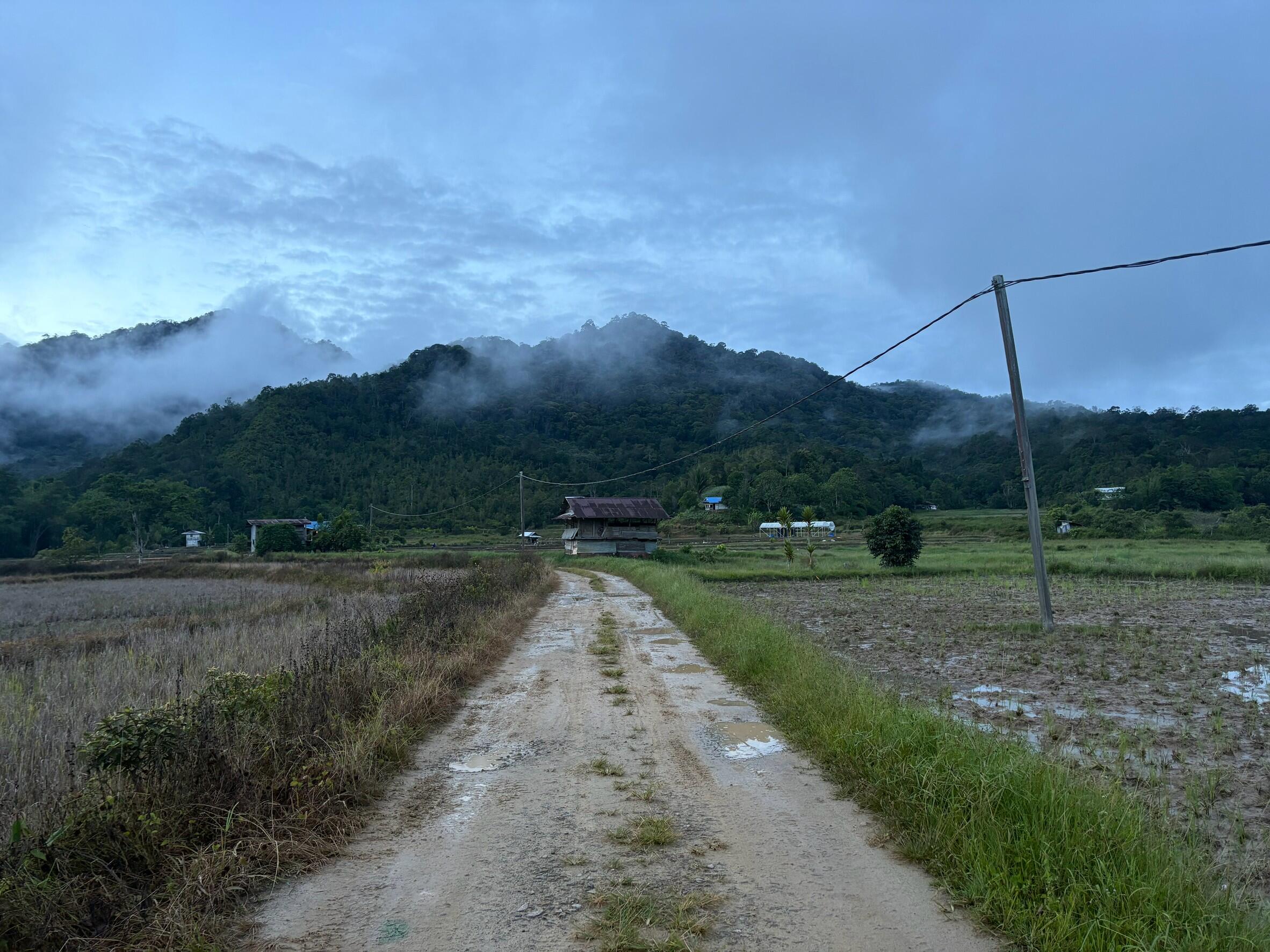 田園.jpg