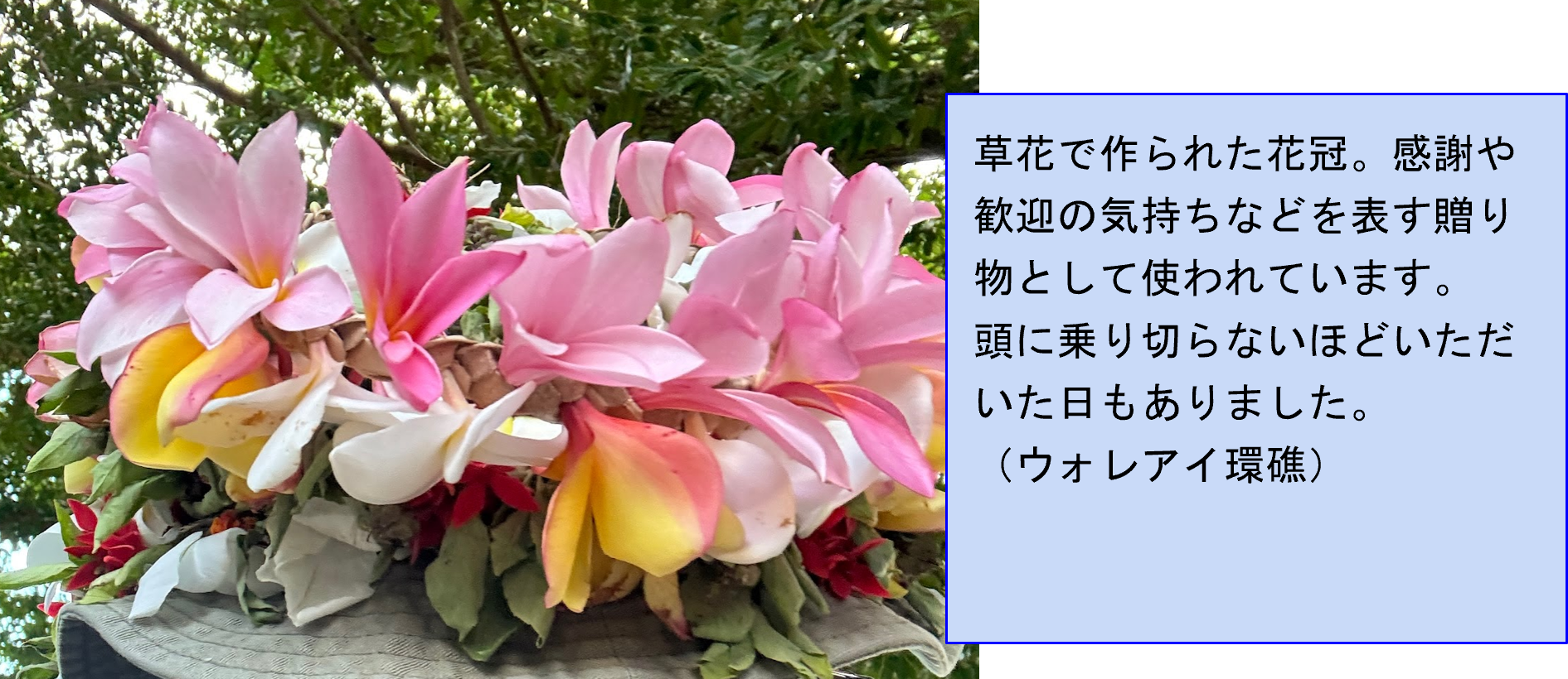 画像12.png