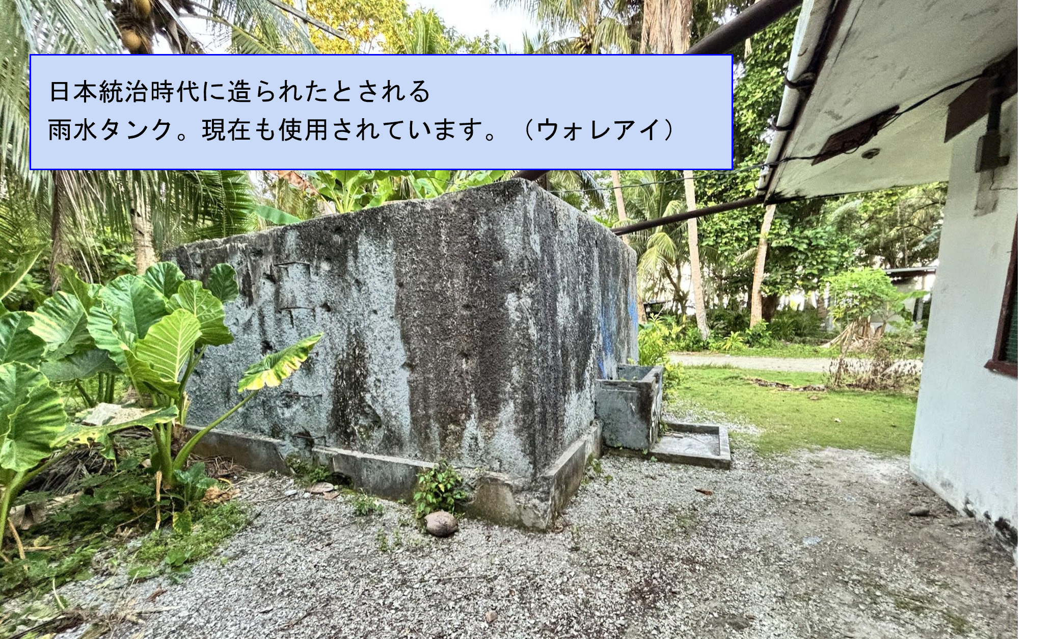 画像4ー2.png