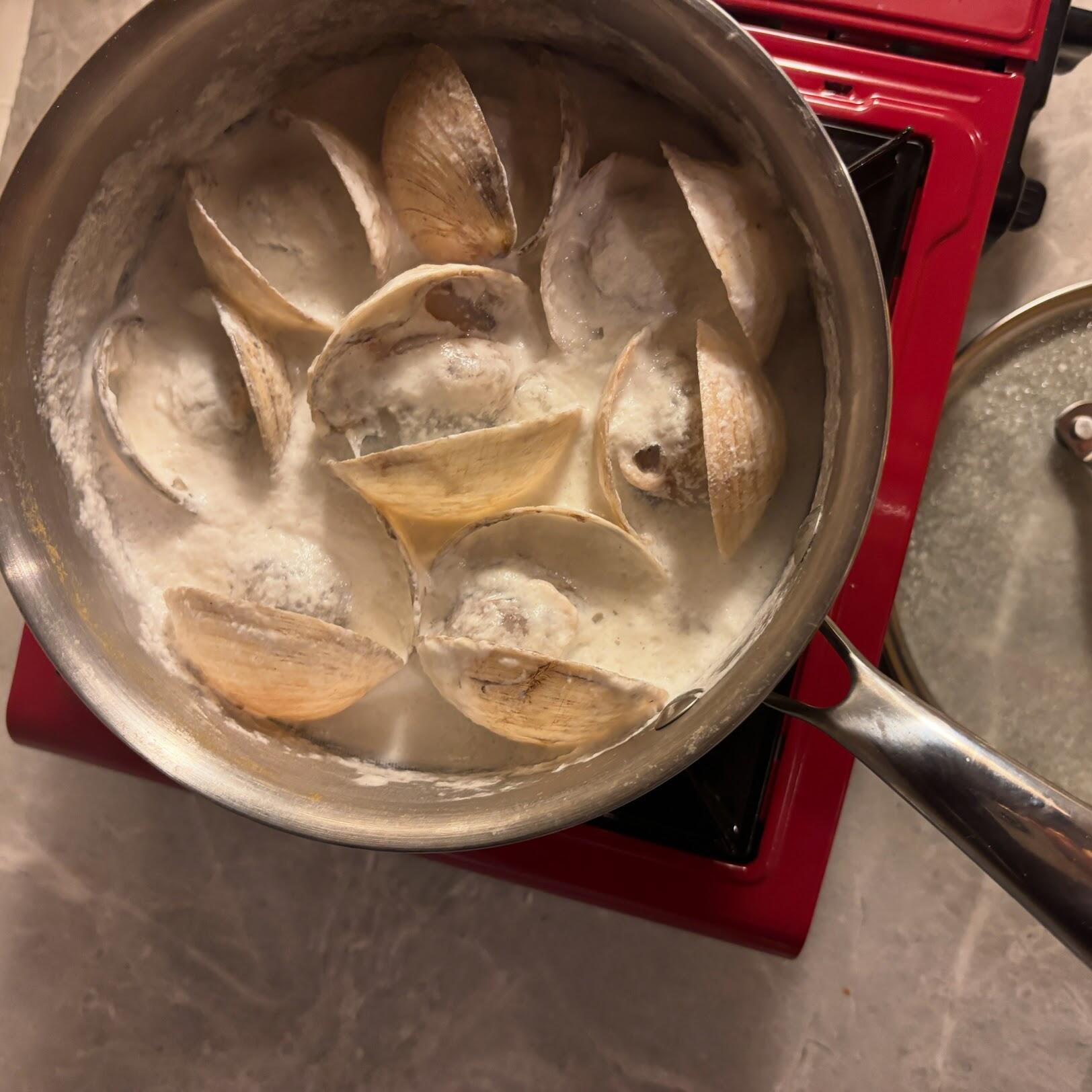マグローブ貝