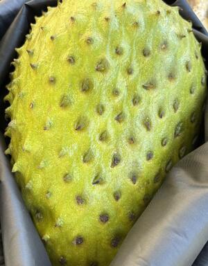 IMG_1249.jpegのサムネイル画像