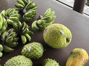 breadfruit.jpg