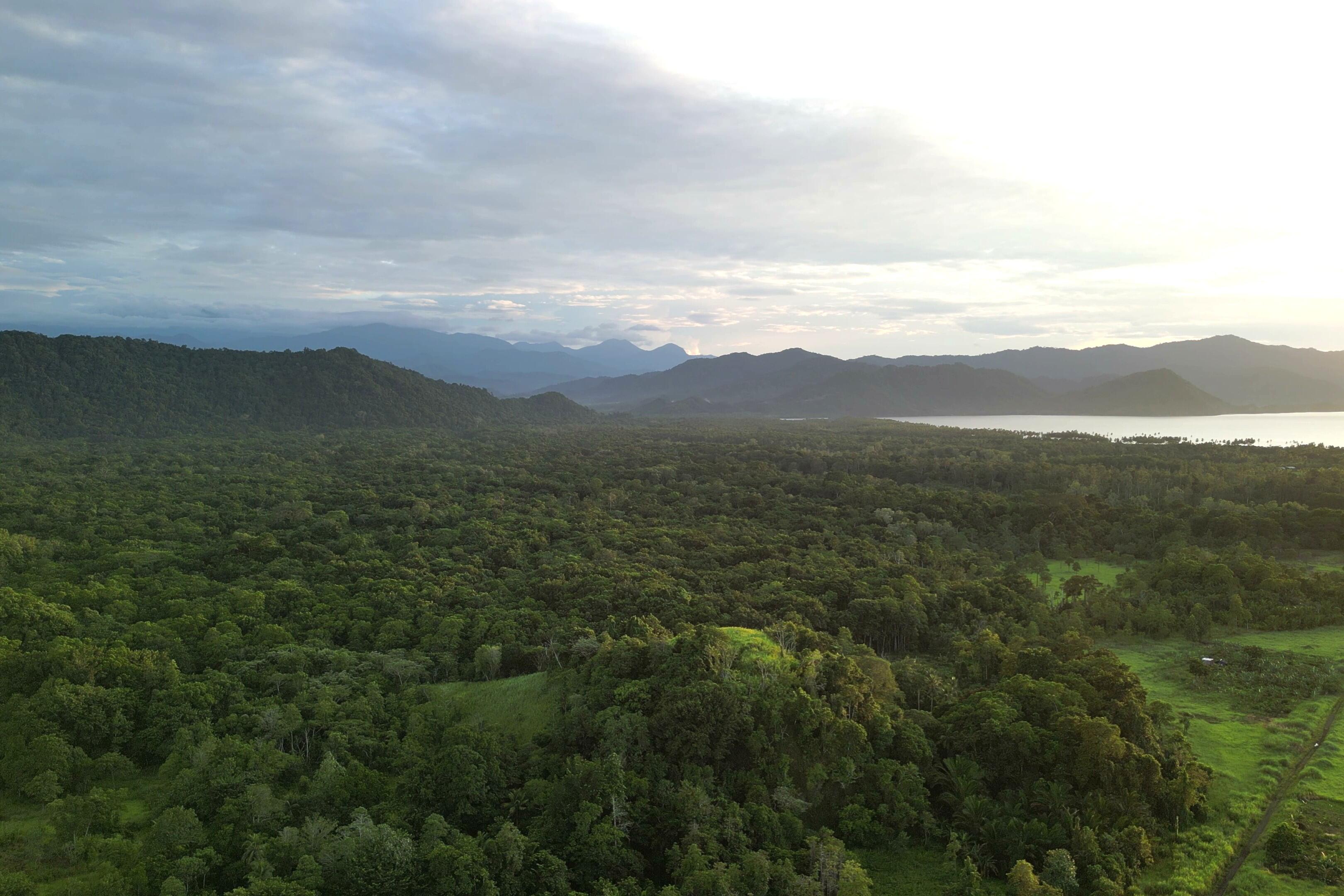 写真２DJI_0413 - frame at 0m12s.jpg