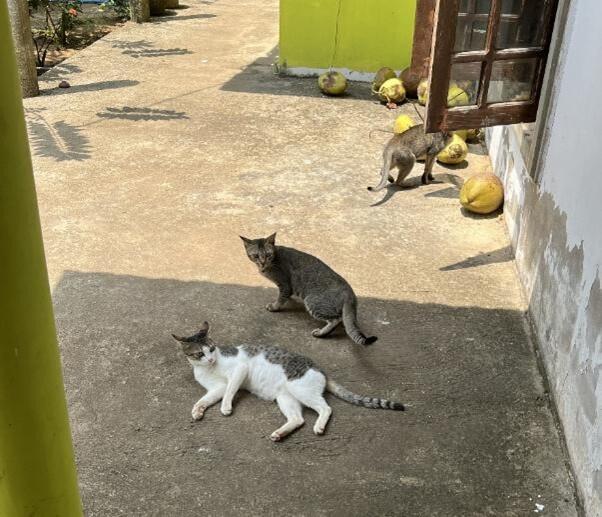画像15.jpg