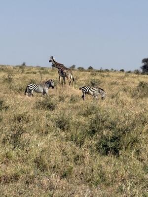 IMG_9573.JPG