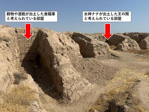 スクリーンショット 2025-10-13 084937.jpg