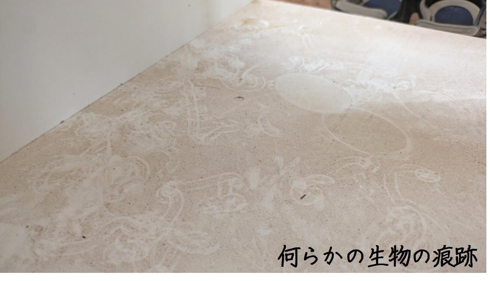 写真５.jpg