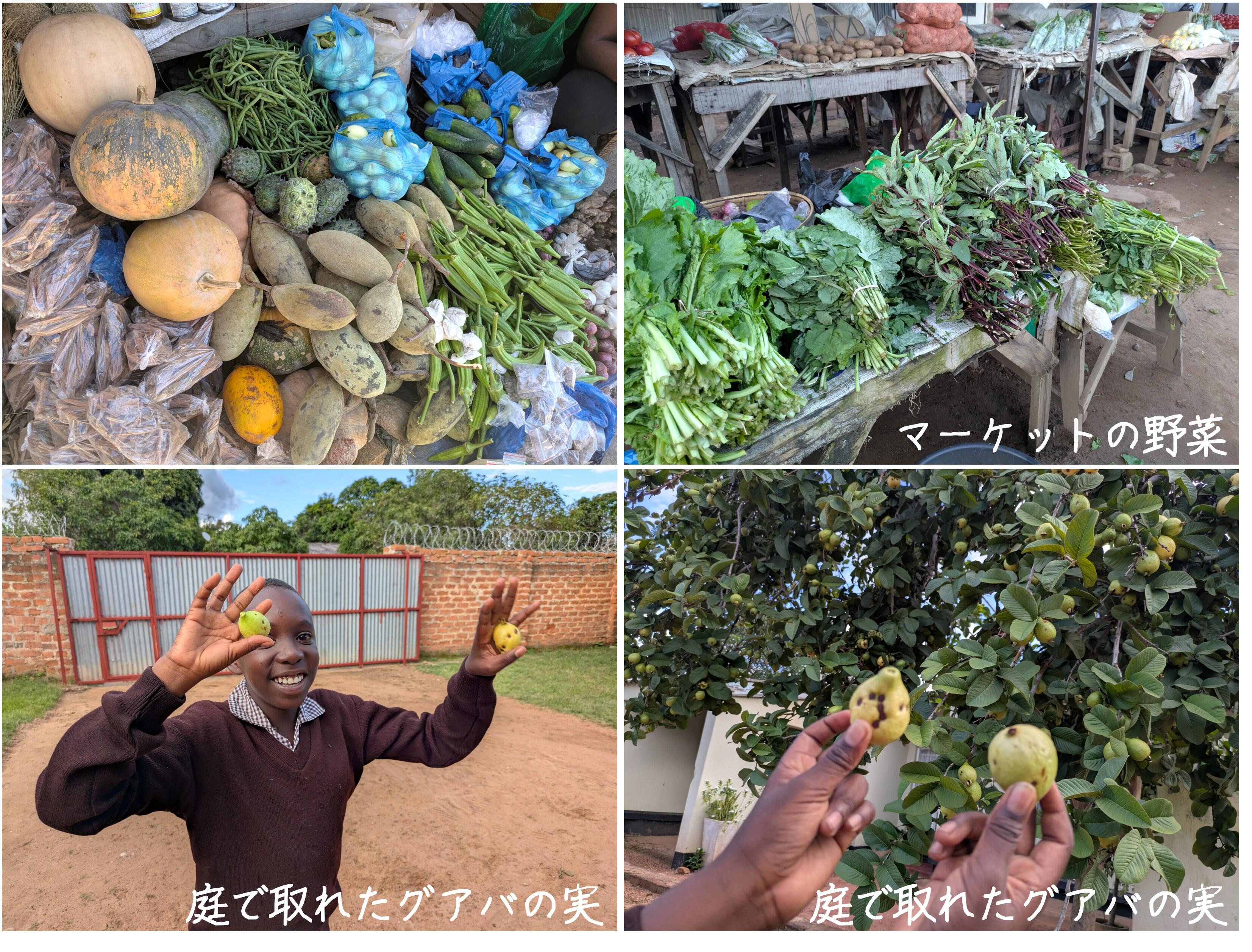 写真⑪.jpg