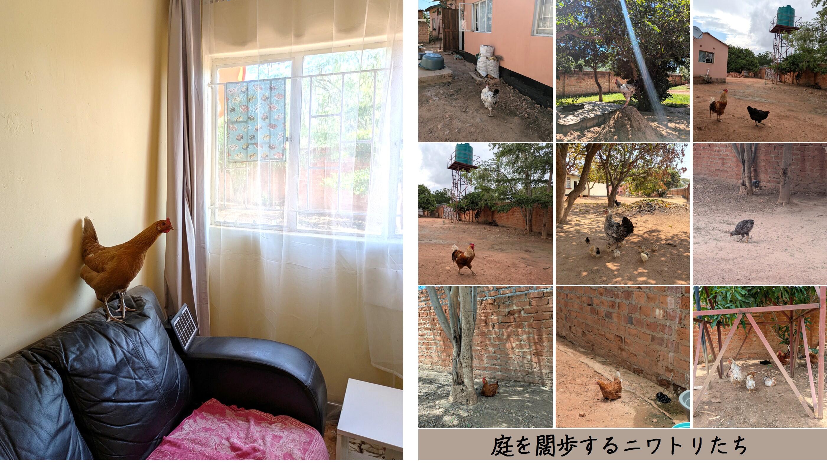 写真８.jpg