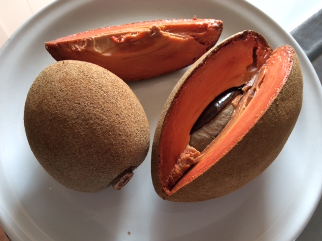 今回は、夏に欠かせない果物マメイの紹介です！ | 伊藤 有信のメキシコ