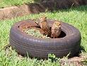 IMG-20241227-WA0030.jpg