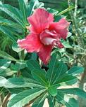 IMG-20250407-WA0005.jpg