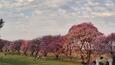 IMG-20241227-WA0007.jpg